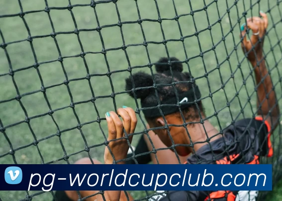 世界杯体育投注品牌故事